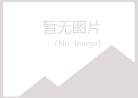 韩城曼山会计有限公司